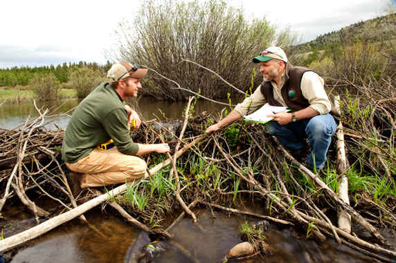 Ecosystem science and management graduate education