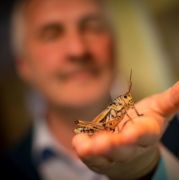 Entomology Graduate Program