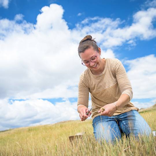 Student in field cutting grass sample