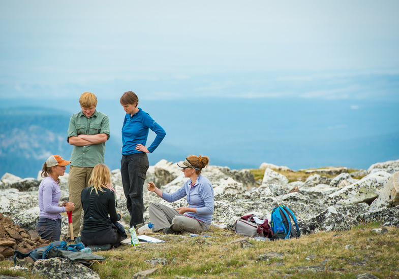 A group of researchers works together on a rocky plateau.