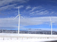 Wind Farm