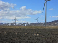 Wind Farm