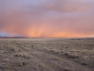 Sage Brush Landscape