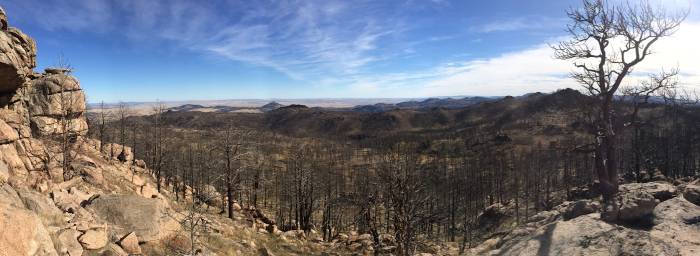 View of burned ponderosa pine forest at Rogers Research Station