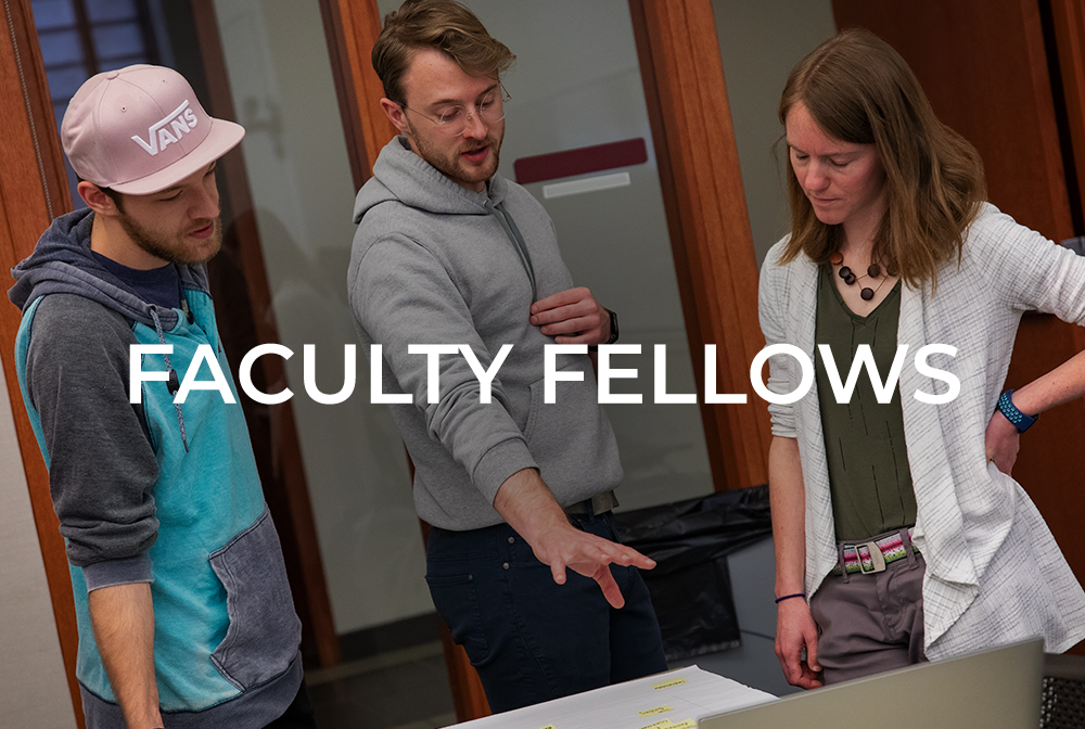 Faculty Fellows