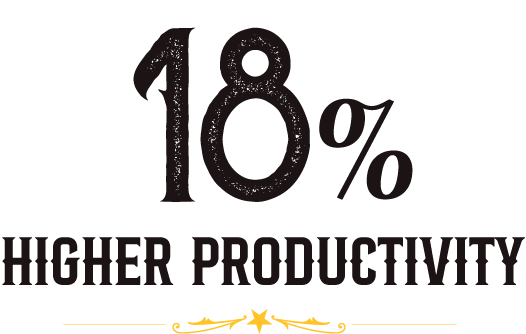 18% Higher Productivity