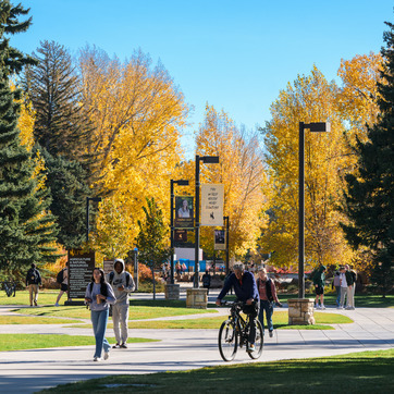 campus with autumn leaves