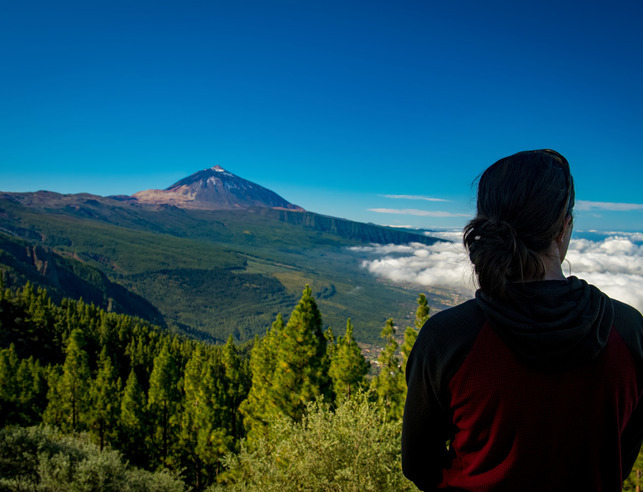 Student looking out over mountain scape