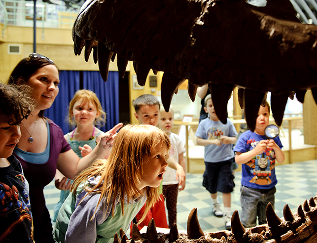 a masters student in the graduate human development and family sciences program observes some kids