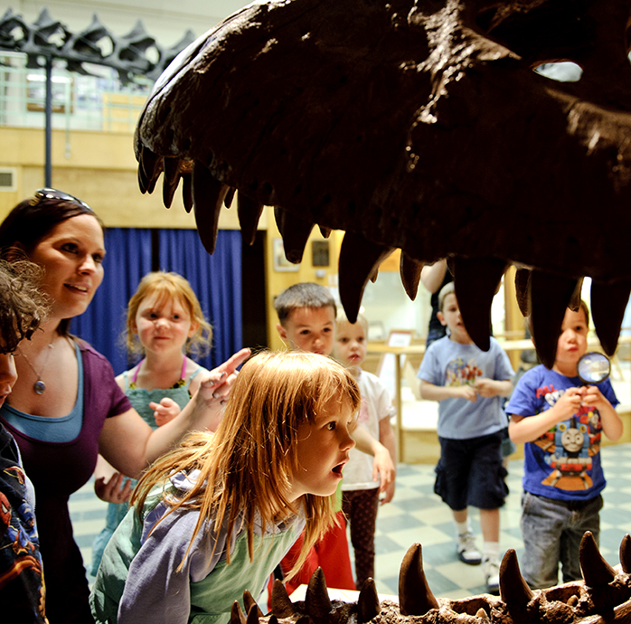 a wide-eyed child looking into the jaw of a dinosaur skeleton