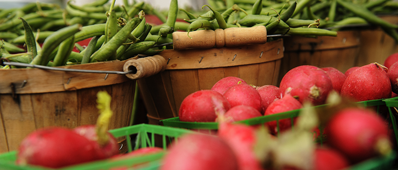 a collection of vegetables that represents the human nutrition and food major in family and consumer sciences