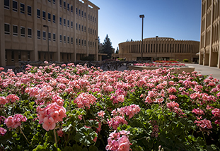 a flower bed that represents prosperity for our family and consumer sciences grad students
