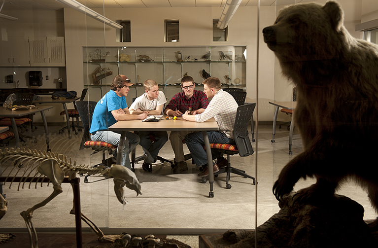 Students work at a table in the Biodiversity Center 