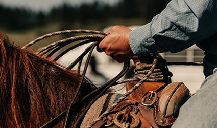 rope and saddle