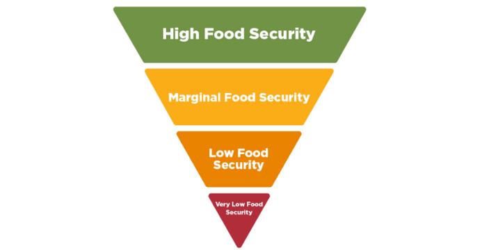 An inverted triangle with the levels of food security