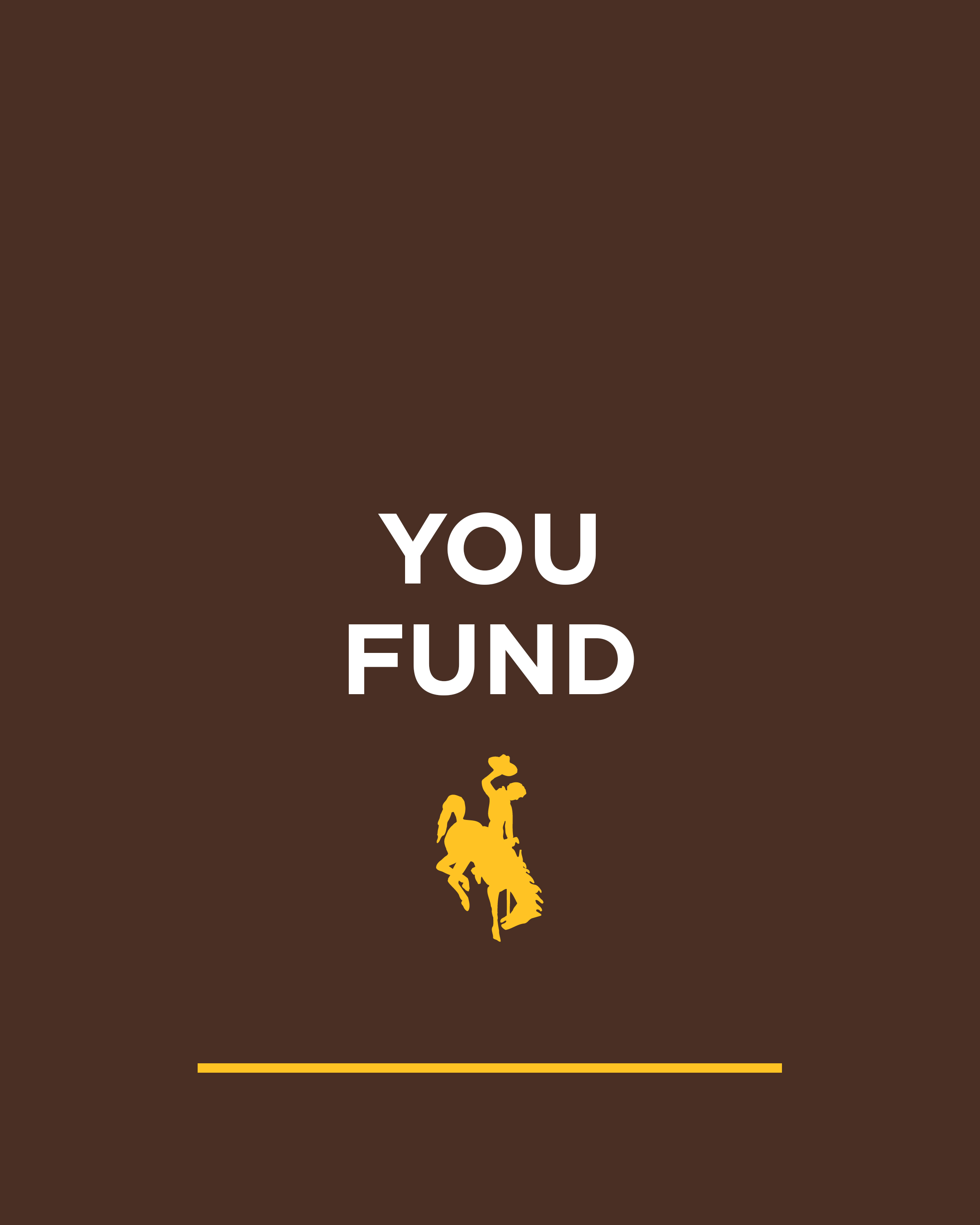 You Fund Crowdfunding