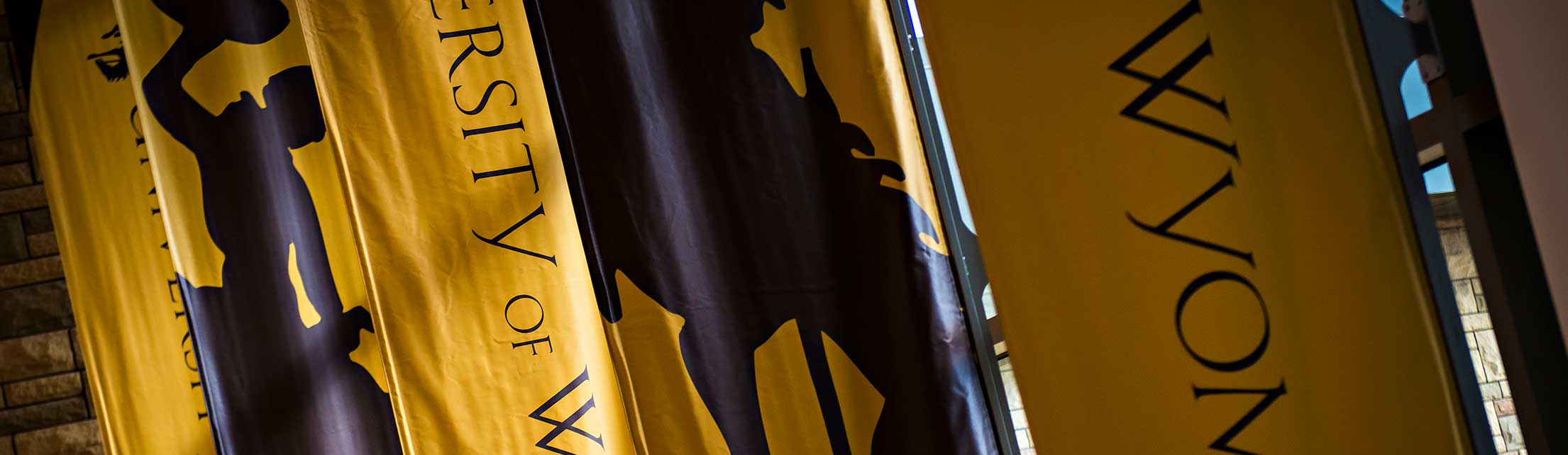 Image of UW Banners