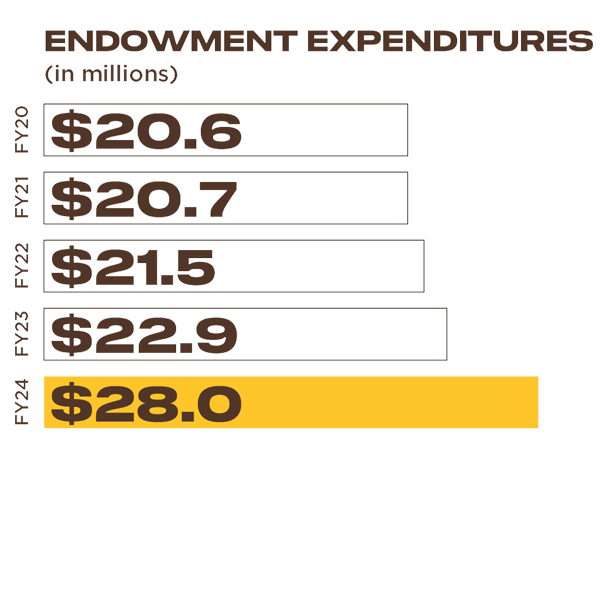 Endowment Expenditures