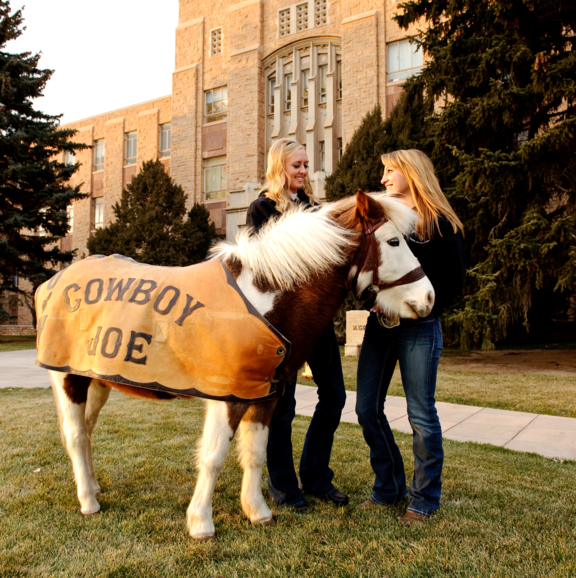 mini horse Cowboy Joe with two students