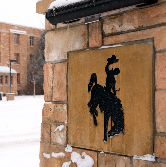 winter bronco in stone