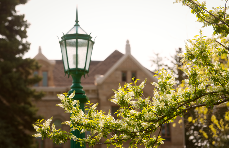 lamp and flowers on campus