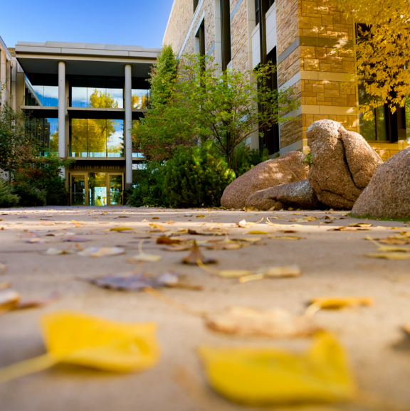 leaves on the ground outside of UW building