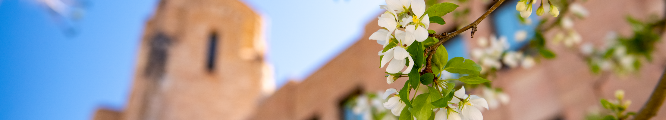 flowers in front of the union
