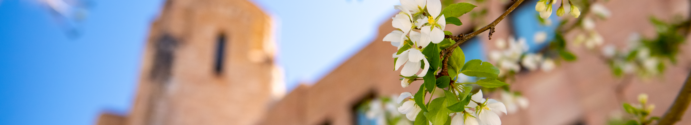 flowers in front of a campus building