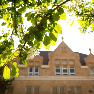 flowers and leaves in front of a campus building