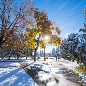 snow covered campus with trees