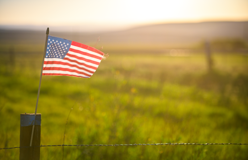 American flag on fence post in a sunny meadow
