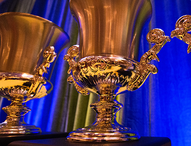 Gold awards on a table with a blue backdrop