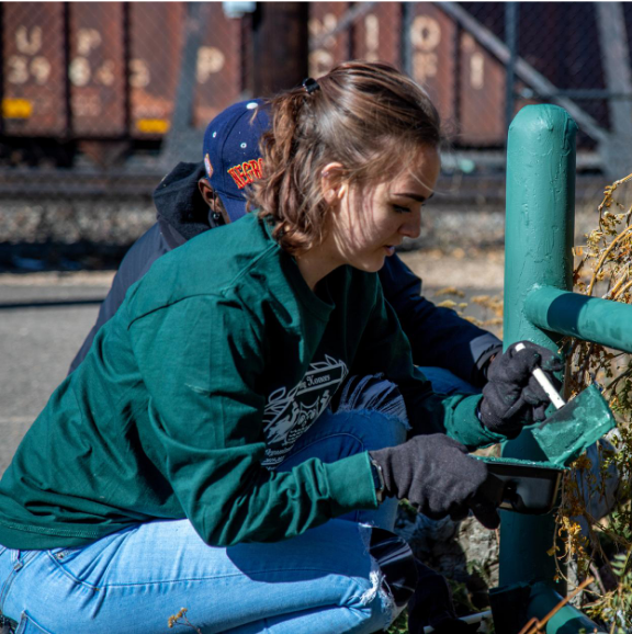 FSL Member paints fence green