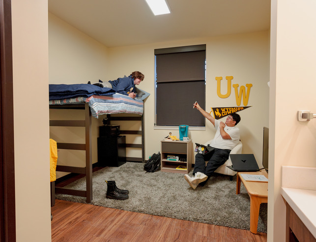 A roommate on a loft bed looks at his roommate's phone. The one with the phone is sitting on a chair. They're smiling.