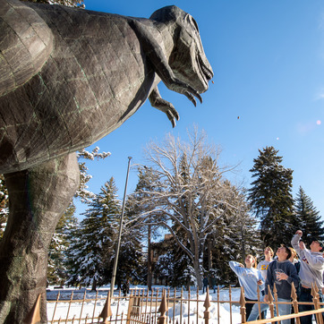 students try to throw a pinecone into T-Rex's mouth
