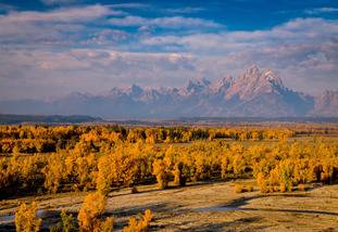 Image of Grant Teton National Park