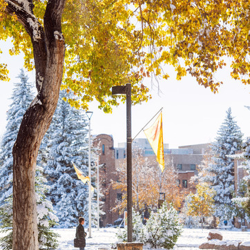 Flag with trees in background