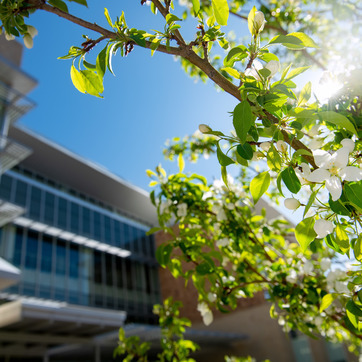 Smiling woman on campus lawn
