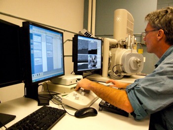 Field Emission Scanning Electron Microscopy