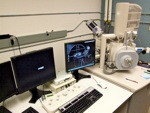 Field Emission Scanning Electron Microscopy