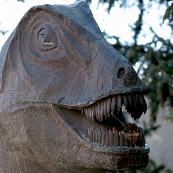 Rexy outside of the Geology Museum