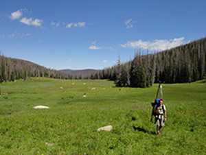 Man hauling gear in meadow