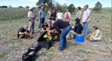 Students participating in a field class