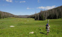 Man carrying research equipment in meadow