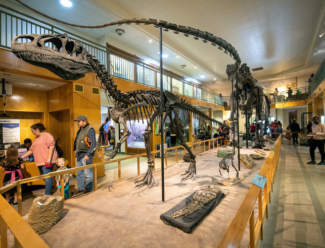 Inside the geological museum where "Big Al" the Allosaurus exhibit is on display