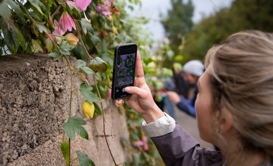 student taking a picture of a flower