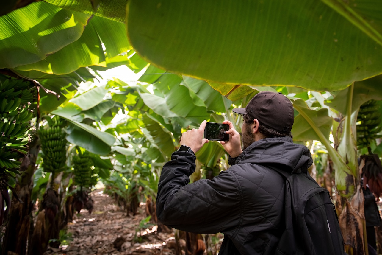 student in Canary Islands forest taking iphone picture of banana trees
