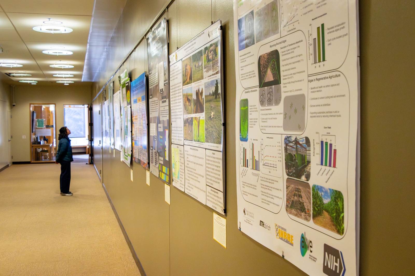 research gallery wall in library