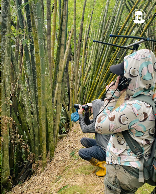 two students with a camera and headset in the jungle doing research