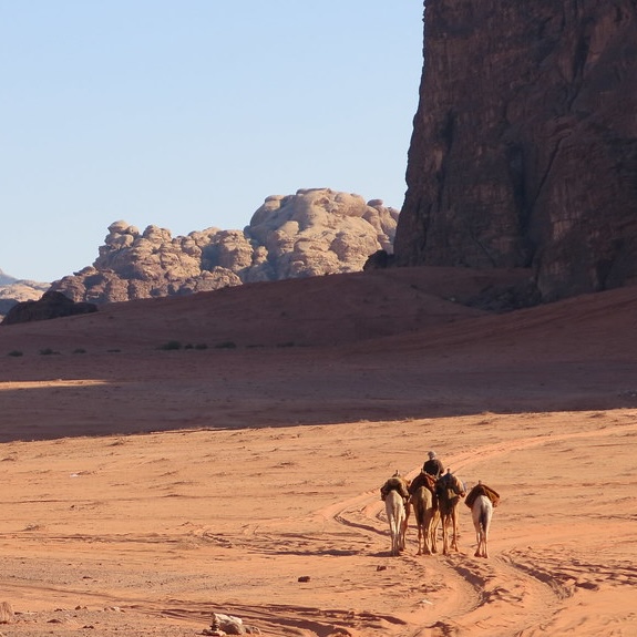 Landscape view of Wadi Rum, Jordan with camels in foreground